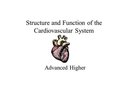 Structure and Function of the Cardiovascular System Advanced Higher.