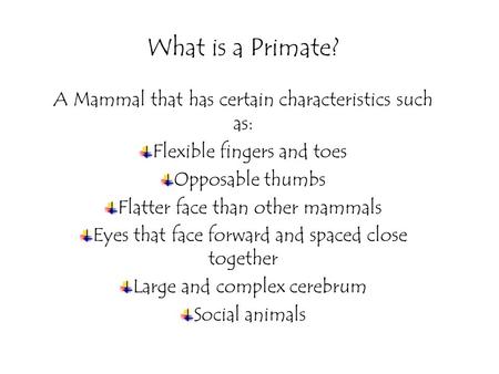 What is a Primate? A Mammal that has certain characteristics such as: Flexible fingers and toes Opposable thumbs Flatter face than other mammals Eyes.