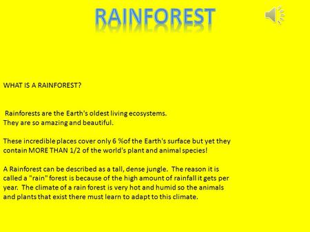 WHAT IS A RAINFOREST? Rainforests are the Earth's oldest living ecosystems. They are so amazing and beautiful. These incredible places cover only 6 %of.
