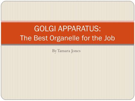 By Tamara Jones GOLGI APPARATUS: The Best Organelle for the Job.