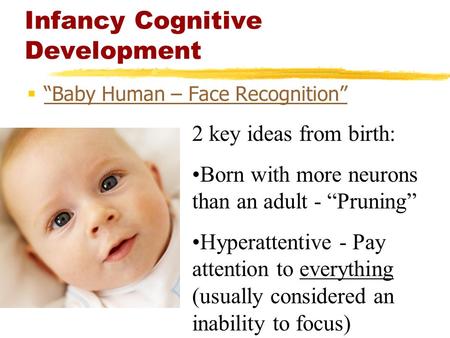 Infancy Cognitive Development  “Baby Human – Face Recognition” “Baby Human – Face Recognition” 2 key ideas from birth: Born with more neurons than an.