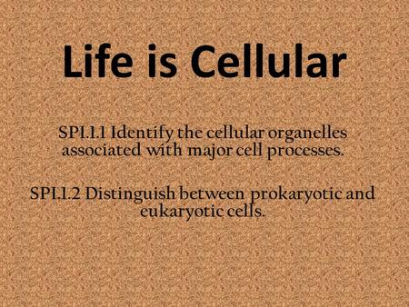 SPI.1.2 Distinguish between prokaryotic and eukaryotic cells.