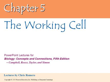 Chapter 5 The Working Cell.