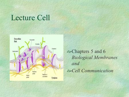 Lecture Cell Chapters 5 and 6 Biological Membranes and