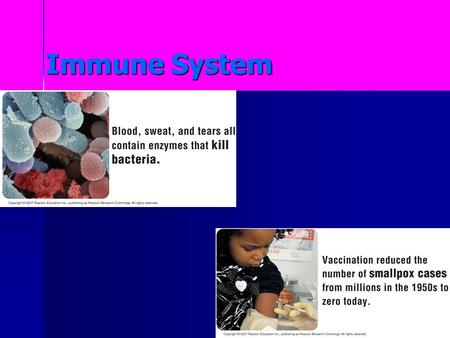 Immune System. Disease A disease is any change other than injury, that disrupts the normal functions of the body. Some diseases are inherited, others.