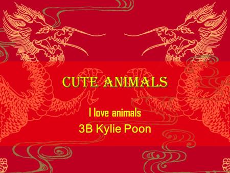 Cute Animals I love animals 3B Kylie Poon. Dogs  I hate dogs because they like to lick people.