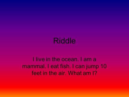 Riddle I live in the ocean. I am a mammal. I eat fish. I can jump 10 feet in the air. What am I?