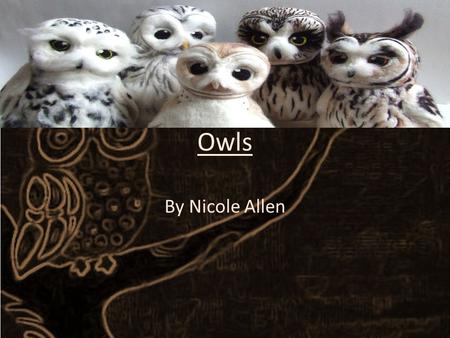 Owls By Nicole Allen. Navigation What are owls intro Facts Eat and drink How they fly How do owls fly?