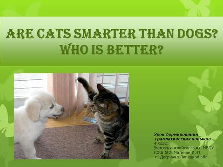 Are cats smarter than dogs? Who is better?