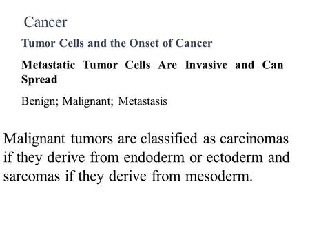 Cancer Tumor Cells and the Onset of Cancer