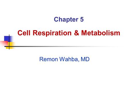 Chapter 5 Cell Respiration & Metabolism