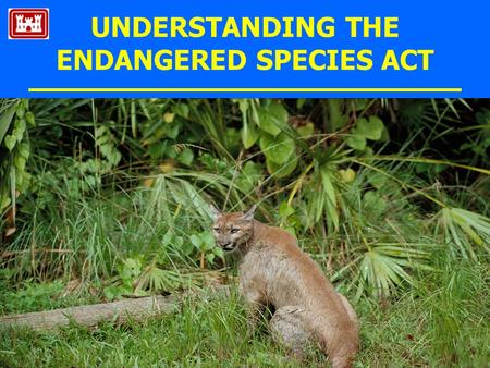 UNDERSTANDING THE ENDANGERED SPECIES ACT. What is the ESA? Federal Law : 1973 (USA), 1976 (Canada) protecting wildlife & plants Conserve & recover species.