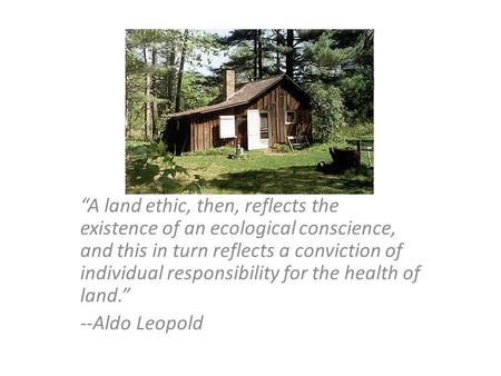 “A land ethic, then, reflects the existence of an ecological conscience, and this in turn reflects a conviction of individual responsibility for the health.