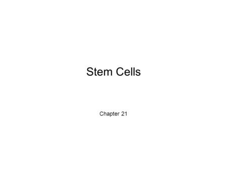 Stem Cells Chapter 21. What are stem cells These are cells which have not terminally differentiated yet There are many types in our bodies –Some appeared.
