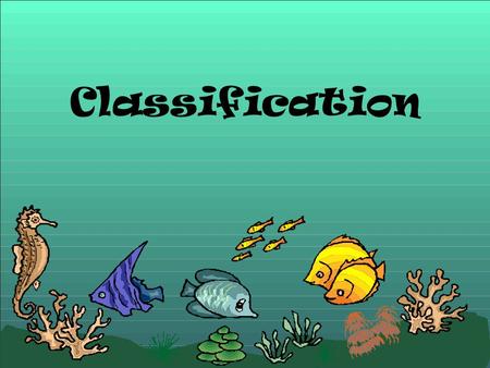 Classification. I. Introduction A.Classification is the grouping of objects or information based on similarities B. Taxonomy is the branch of biology.