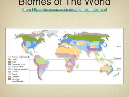 Biomes of The World From