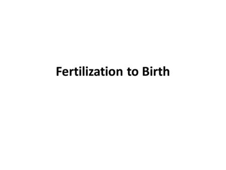 Fertilization to Birth. Learning outcomes Define fertilization Know the three stages of pregnancy Explain what happens in each stage Know what stem cells.