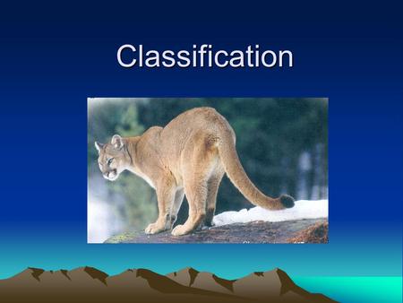 Classification. Why Classify? –To study the great diversity of organisms, biologists must give each organism a name. –Biologists must also attempt to.