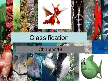 Classification Chapter 18. Why Classify ? To study diversity of life in organized manner. ________________-science where organisms are classified in a.