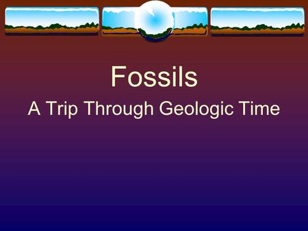Fossils A Trip Through Geologic Time. Fossils  Fossils are preserved remains or traces of living things.  Most fossils form from animals and plants.