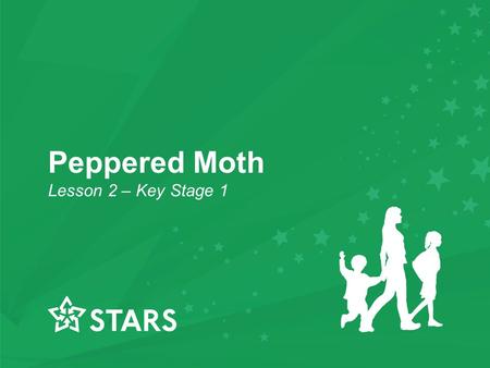 Peppered Moth Lesson 2 – Key Stage 1. Starter Activity Spell the following words on your mini whiteboards: