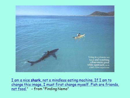 I am a nice shark, not a mindless eating machine. If I am to change this image, I must first change myself. Fish are friends, not food.I am a nice shark,