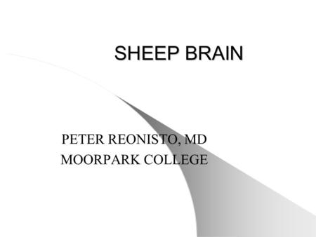 SHEEP BRAIN PETER REONISTO, MD MOORPARK COLLEGE. BRAIN (SUPERFICIAL VIEW) 1.Cerebral Hemispheres 2. Longitudinal Cerebral Fissure 3. Cerebral Gyrus 4.Cerebral.