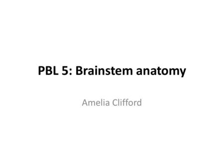 PBL 5: Brainstem anatomy Amelia Clifford. Brainstem provides the main motor and sensory innervation to the face and neck via the cranial nerves nerve.