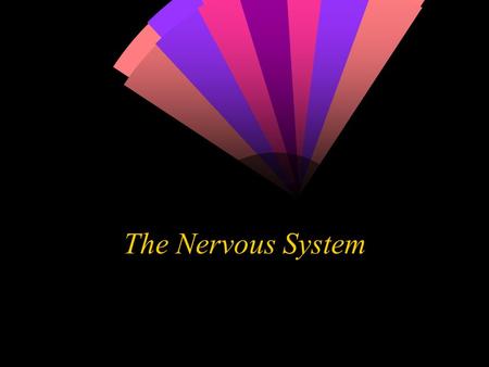 The Nervous System. Neurons  The neuron is the functional unit of the nervous system. Humans have about 100 billion neurons in their brain alone!  While.