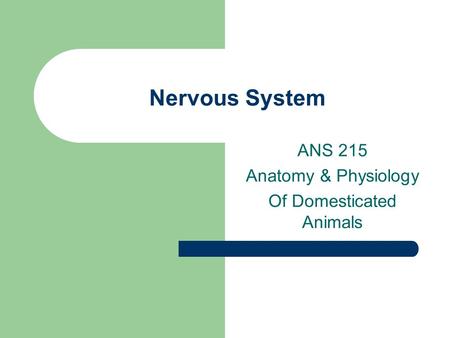 Nervous System ANS 215 Anatomy & Physiology Of Domesticated Animals.