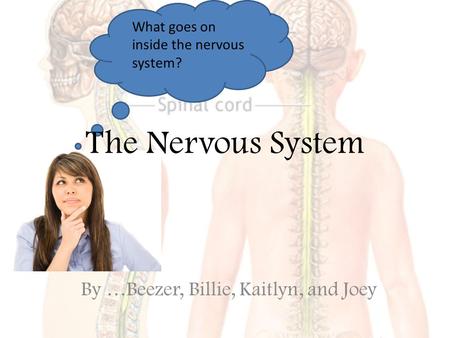 By …Beezer, Billie, Kaitlyn, and Joey The Nervous System What goes on inside the nervous system?