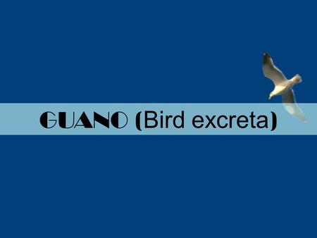 GUANO ( Bird excreta ). For 11 th standard Economic Zoology: Guano. Guano is the accumulated excrement or droppings of fish eating sea birds such as gannets,