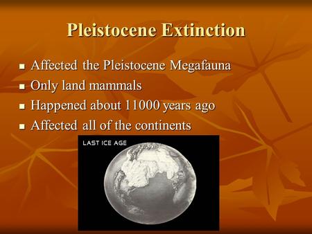 Pleistocene Extinction Affected the Pleistocene Megafauna Affected the Pleistocene Megafauna Only land mammals Only land mammals Happened about 11000 years.