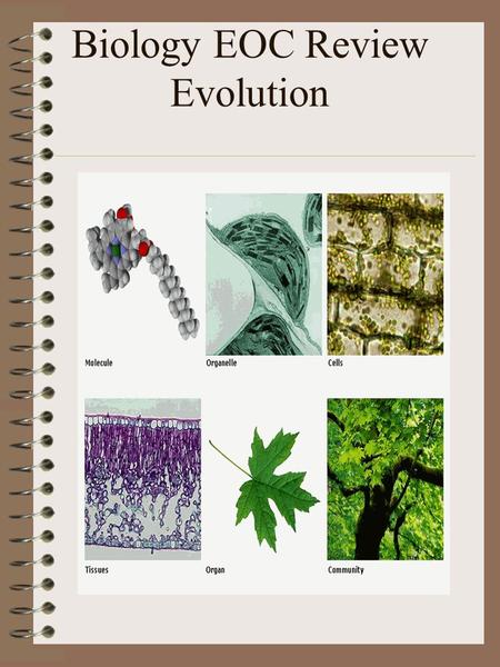 Biology EOC Review Evolution. Evolution Explain biological evolution as the consequence of the interaction of population growth, inherited variability.