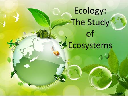 Ecology: The Study of Ecosystems. Organization of Life AKA Biological Organization.