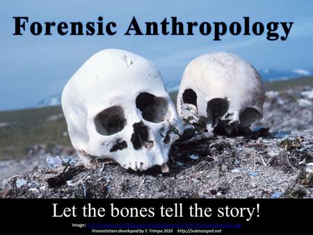 Let the bones tell the story! Image: