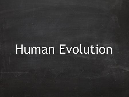 Human Evolution. Evolution of humans is believed to have begun with the earliest primates 60 million years ago.
