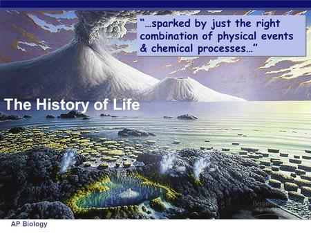 AP Biology The History of Life “…sparked by just the right combination of physical events & chemical processes…”