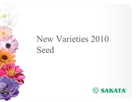 New Varieties 2010 Seed. www.sakata.com 1 Pansy Dynamite Series Flower power through the entire season –Flowers under short days Compact habit Flowers.