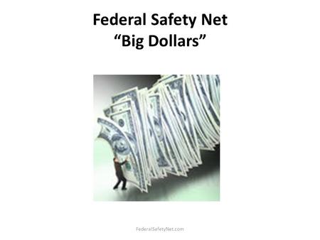 Federal Safety Net “Big Dollars” FederalSafetyNet.com.