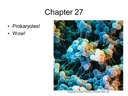 Chapter 27 Prokaryotes! Wow!. Some Interesting Info… *The biomass of all the prokaryotes of the world is 10 times that of eukaryotes! *The # of prokaryotes.
