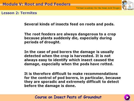Several kinds of insects feed on roots and pods. The root feeders are always dangerous to a crop because plants suddenly die, especially during periods.