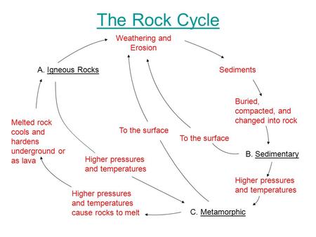 The Rock Cycle A. Igneous Rocks C. Metamorphic B. Sedimentary Melted rock cools and hardens underground or as lava Higher pressures and temperatures cause.