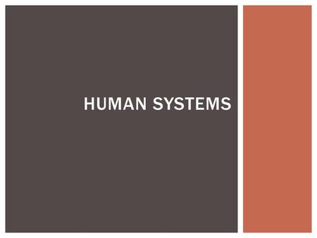 HUMAN SYSTEMS. ECONOMIC GEOGRAPHY  Economic Sectors  Primary – involve using the ground  Secondary – manufacturing & construction  Tertiary – provide.