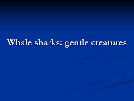Whale sharks: gentle creatures. ? ferocious ? ferocious ? huge ? huge ? about to be extinct ? about to be extinct ? threatening the other species ? threatening.