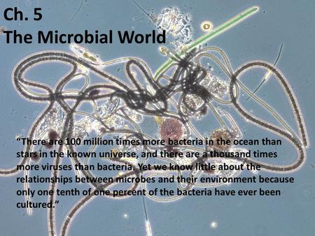 Ch. 5 The Microbial World Ch. 5 “There are 100 million times more bacteria in the ocean than stars in the known universe, and there are a thousand times.