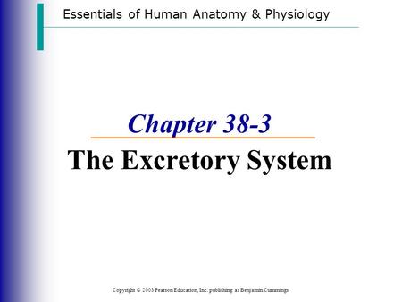Essentials of Human Anatomy & Physiology Copyright © 2003 Pearson Education, Inc. publishing as Benjamin Cummings Chapter 38-3 The Excretory System.