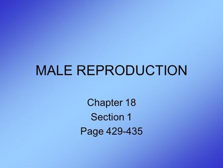 MALE REPRODUCTION Chapter 18 Section 1 Page 429-435.