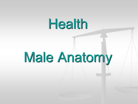 Health Male Anatomy.