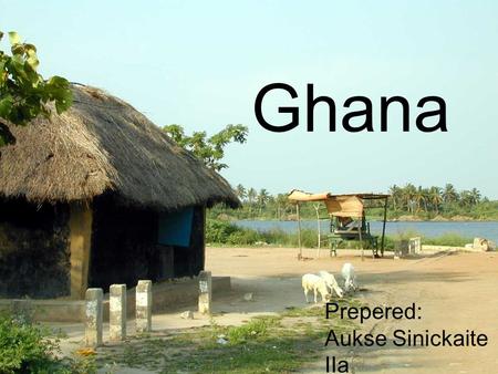 Ghana Prepered: Aukse Sinickaite IIa. Celebration of Ghana The Yam Festival in Ghana, a country in western Africa, is called the To Hoot at Hunger“.